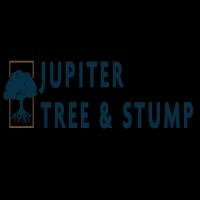 Jupiter Tree and Stump image 1